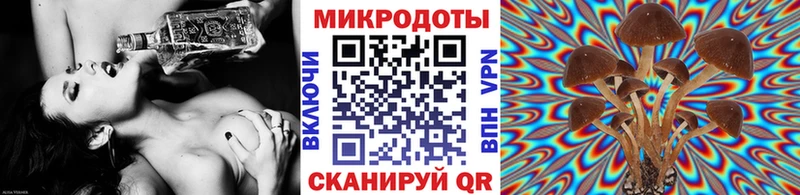 Галлюциногенные грибы мухоморы  Пойковский 