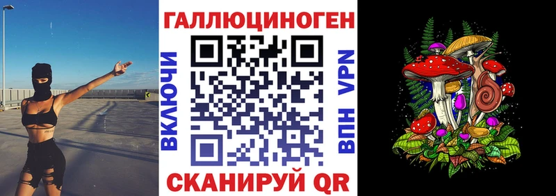 Псилоцибиновые грибы Psilocybine cubensis Пойковский